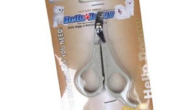 🐶 헬로도기 발톱깎이 써보니! 꿀팁 대방출 (내돈내산) ✂️